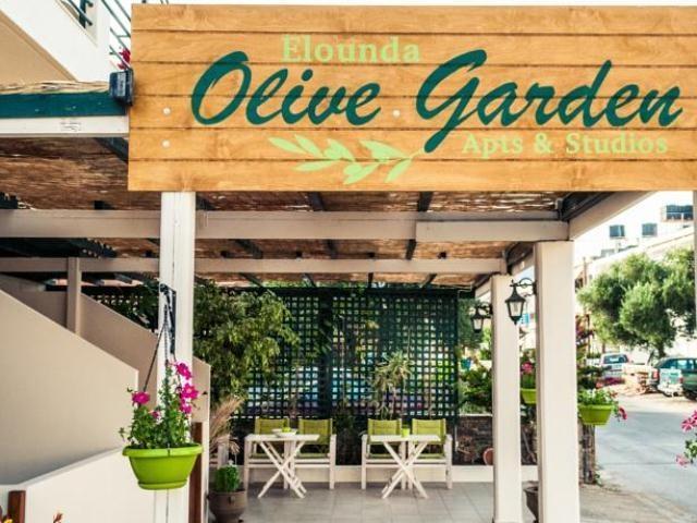 Elounda Olive Garden Apts & Studios Exterior foto