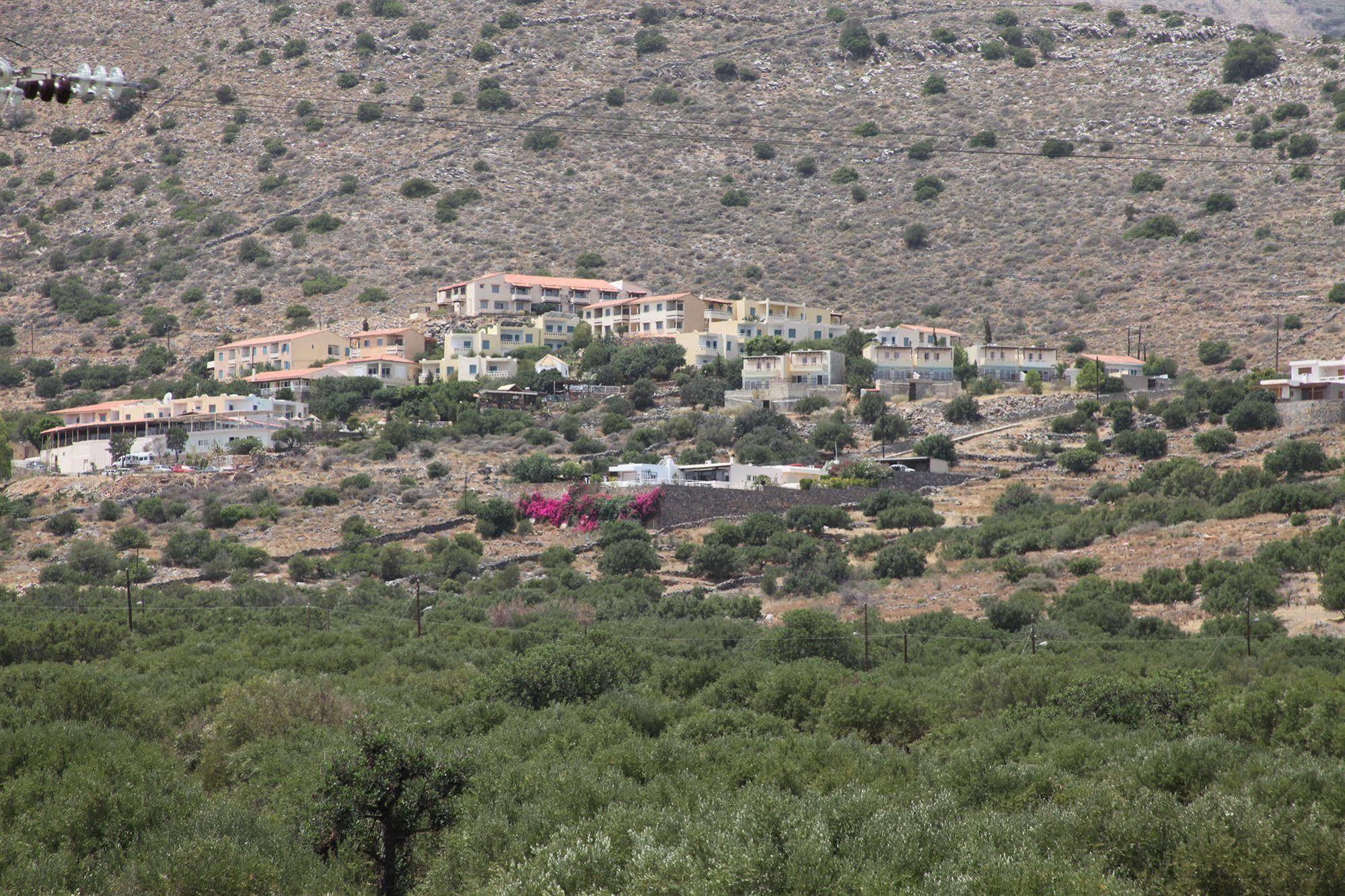 Elounda Olive Garden Apts & Studios Exterior foto